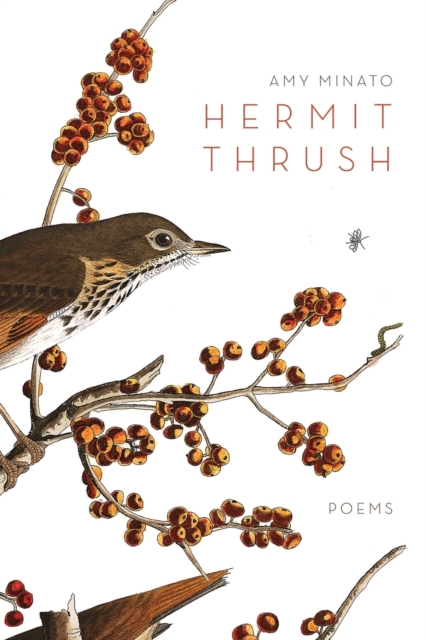 Hermit Thrush, Paperback / softback Book