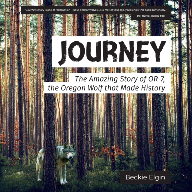 Journey : The Amazing Story of Or-7, the Oregon Wolf That Made History, Paperback / softback Book