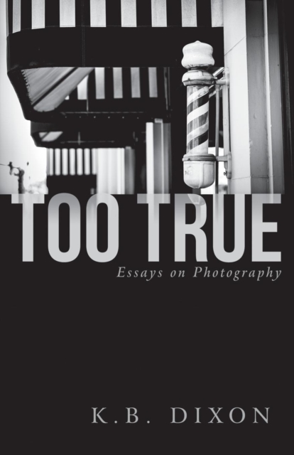 Too True : Essays on Photography, Paperback / softback Book