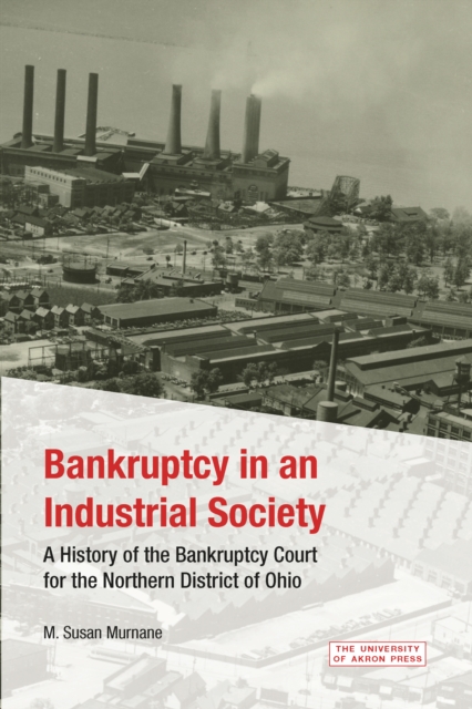 Bankruptcy in an Industrial Society, PDF eBook