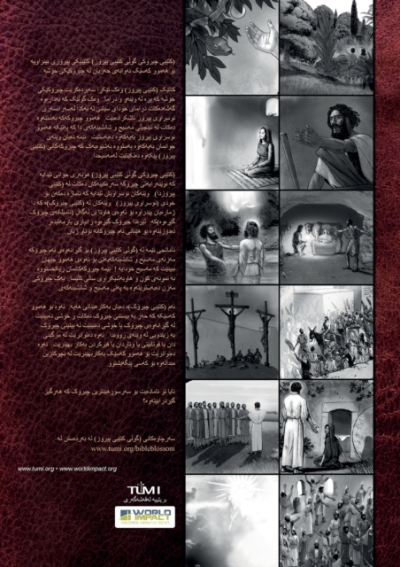 Bible Blossom Storybook, Kurdish : The Unfolding Story of God, Paperback / softback Book