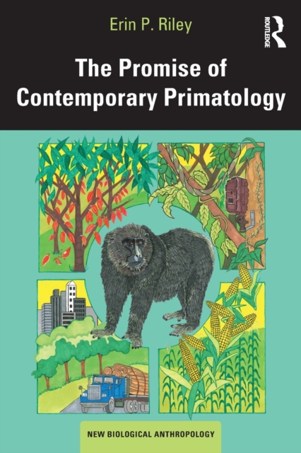 The Promise of Contemporary Primatology, Paperback / softback Book