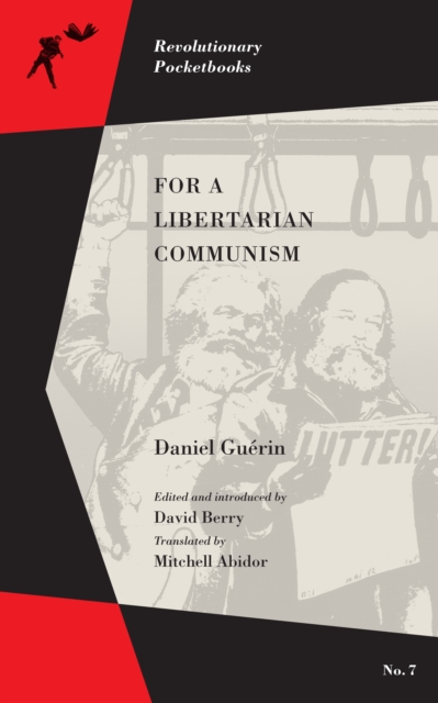 For a Libertarian Communism, EPUB eBook
