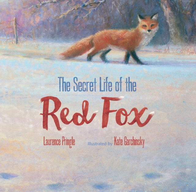 Secret Life of the Red Fox, Hardback Book