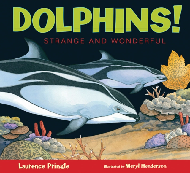 Dolphins!, Hardback Book