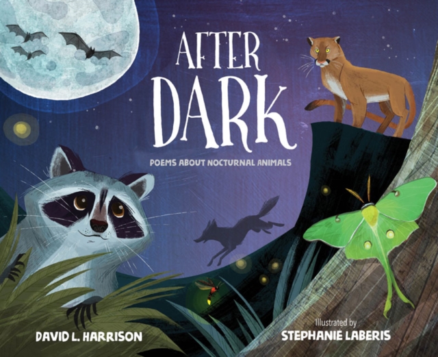 After Dark : Poems about Nocturnal Animals, Hardback Book
