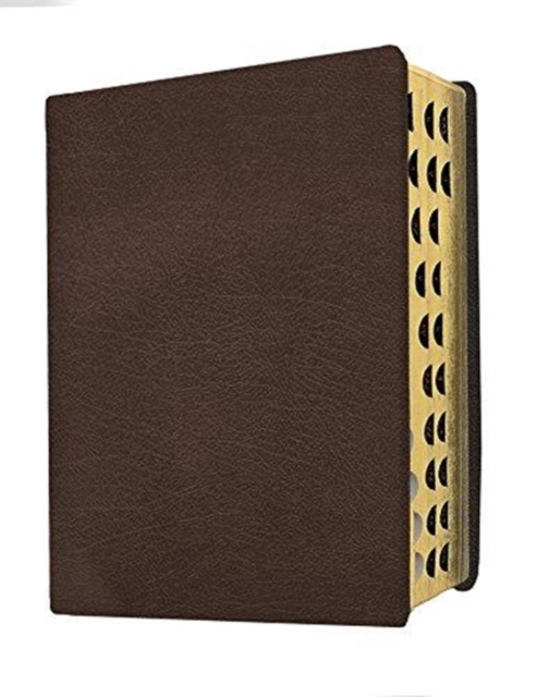 Giant Print Bible-Mev, Leather / fine binding Book