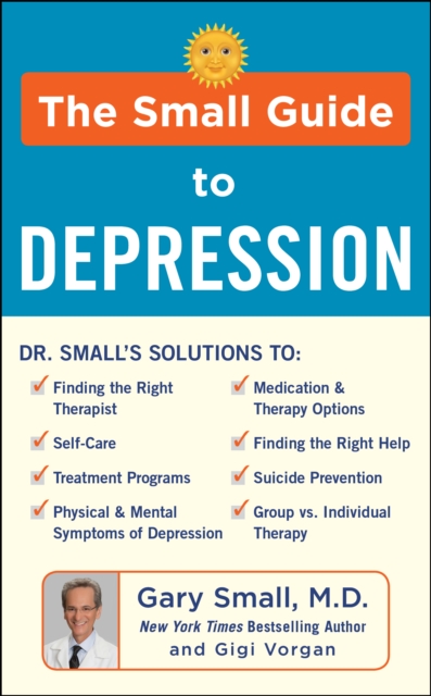 The Small Guide to Depression, Hardback Book