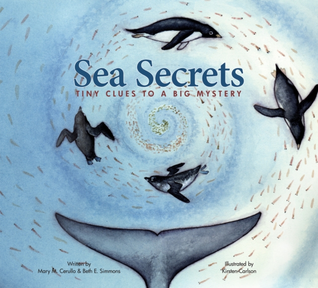 Sea Secrets : Tiny Clues to a Big Mystery, Paperback / softback Book