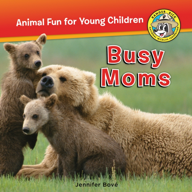 Busy Moms, Paperback / softback Book