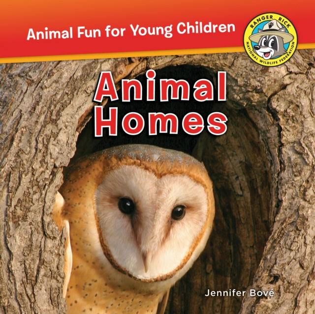 Animal Homes, Paperback / softback Book