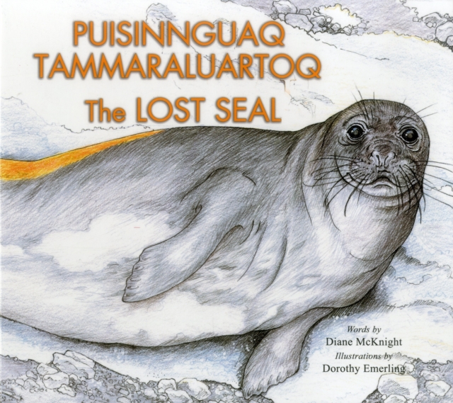 The Lost Seal, Paperback / softback Book