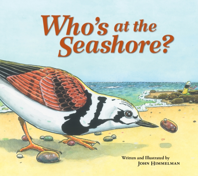 Who's at the Seashore?, Paperback / softback Book