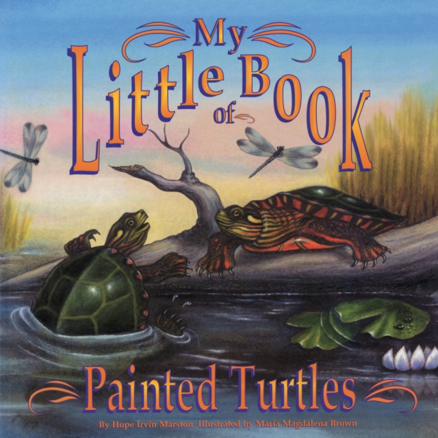 My Little Book of Painted Turtles (My Little Book Of...), Paperback / softback Book