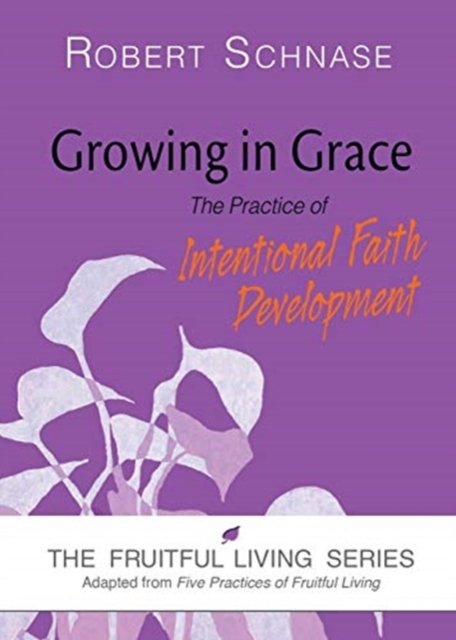 Growing in Grace : The Practice of Intentional Faith Development, Paperback / softback Book