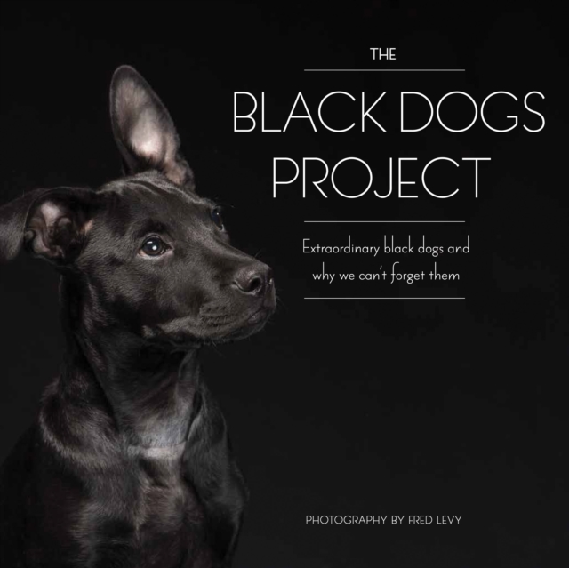The Black Dogs Project : Extraordinary Black Dogs and Why We Can't Forget Them, Hardback Book