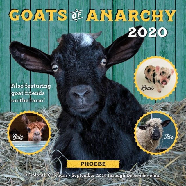 Goats of Anarchy 2020 : 16 Month Calendar  September 2019 Through December 2020, Calendar Book