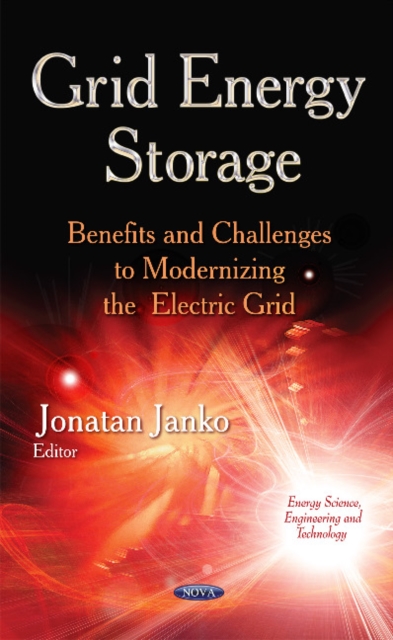 Grid Energy Storage : Benefits & Challenges to Modernizing the Electric Grid, Hardback Book