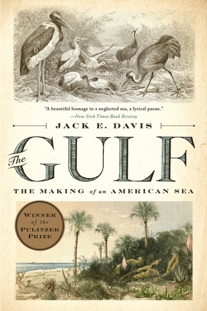 The Gulf : The Making of An American Sea, Paperback / softback Book