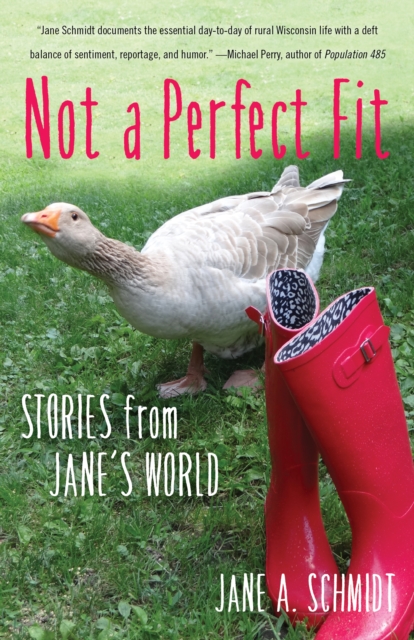 Not a Perfect Fit : Stories from Jane's World, Paperback / softback Book