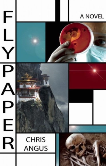 Flypaper : A Novel, Paperback / softback Book
