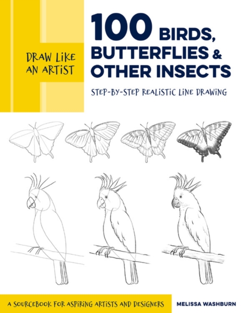 Draw Like an Artist: 100 Birds, Butterflies, and Other Insects : Step-by-Step Realistic Line Drawing - A Sourcebook for Aspiring Artists and Designers Volume 5, Paperback / softback Book
