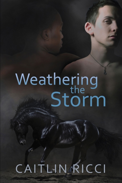 Weathering the Storm Volume 1, Paperback / softback Book