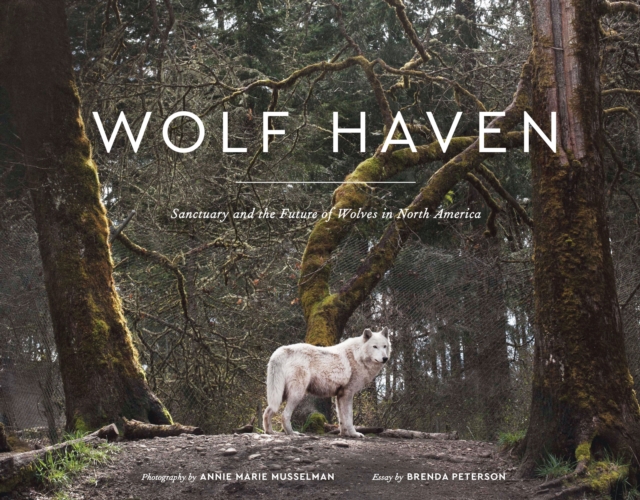 Wolf Haven : Sanctuary and the Future of Wolves in North America, Hardback Book