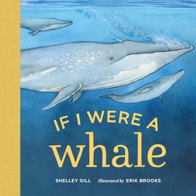 If I Were a Whale, Board book Book