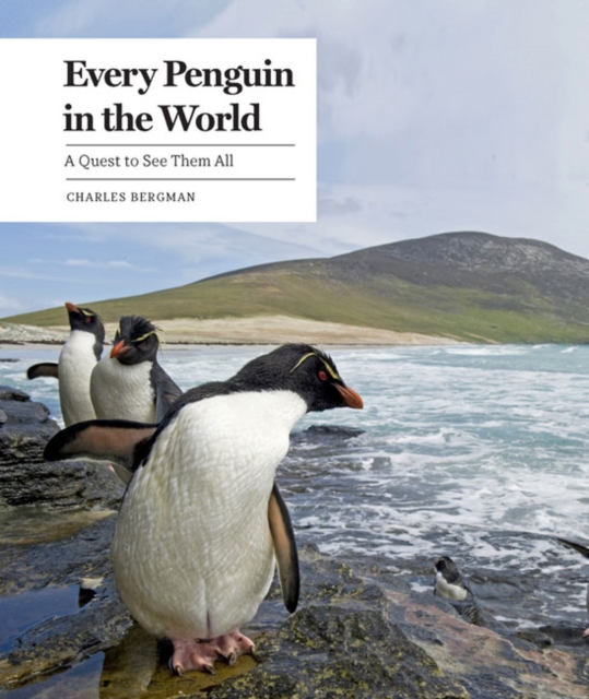 Every Penguin in the World : A Quest to See Them All, Hardback Book