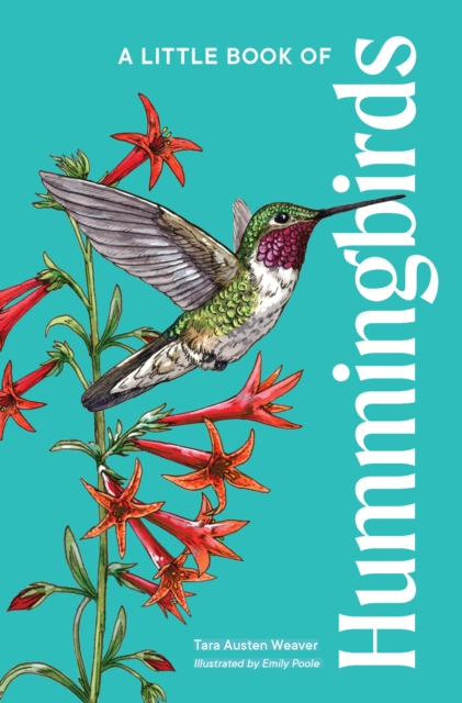 A Little Book of Hummingbirds, Hardback Book