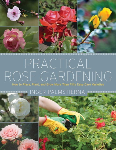 Practical Rose Gardening : How to Place, Plant, and Grow More Than Fifty Easy-Care Varieties, EPUB eBook