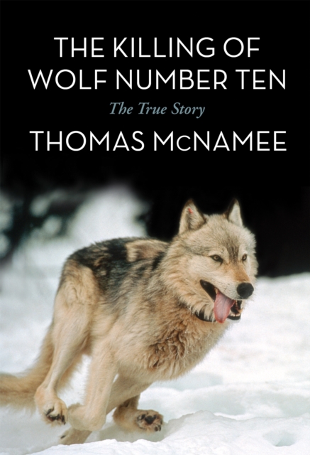 The Killing of Wolf Number Ten : The True Story, Paperback / softback Book