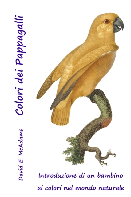 Colori dei Pappagalli : Introduzione di un bambino ai colori nel mondo naturale, Paperback / softback Book