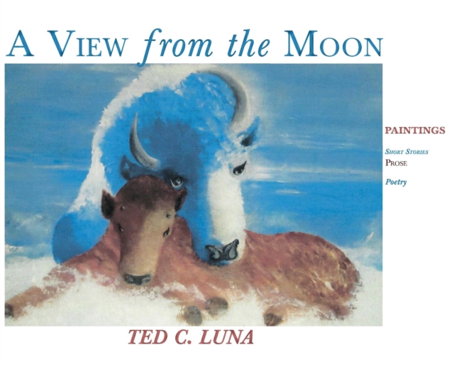 A View from the Moon (Hardcover) : Paintings, Poetry, Prose, Short Stories, Hardback Book