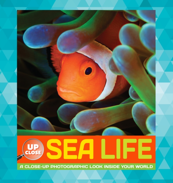 Sea Life : A Close-Up Photographic Look Inside Your World, Hardback Book