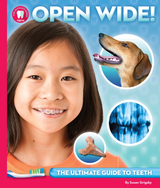 Open Wide : The Ultimate Guide to Teeth, Hardback Book