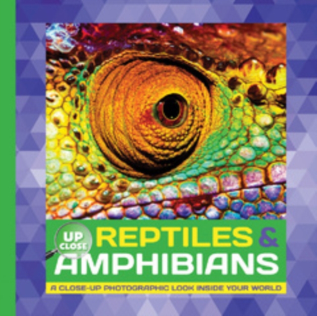 Reptiles & Amphibians : A Close-Up Photographic Look Inside Your World, Hardback Book