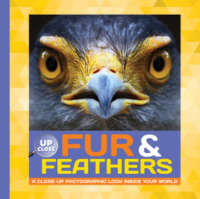 Fur & Feathers : A Close-Up Photographic Look Inside Your World, Hardback Book