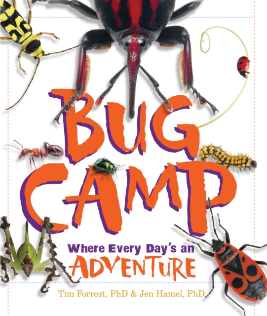 Bug Camp : Where Every Day's an Adventure, EPUB eBook