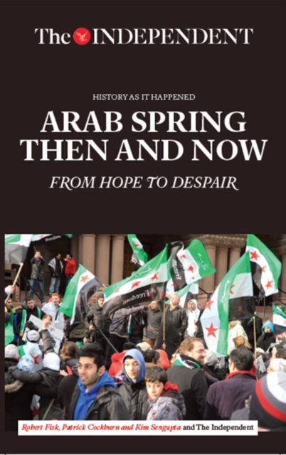 Arab Spring Then and Now : From Hope to Despair, Paperback / softback Book