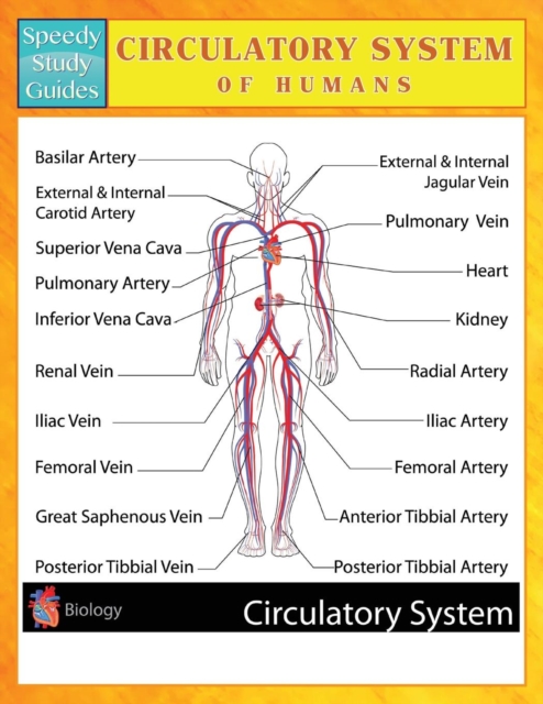 Circulatory System of Humans (Speedy Study Guides), Paperback / softback Book