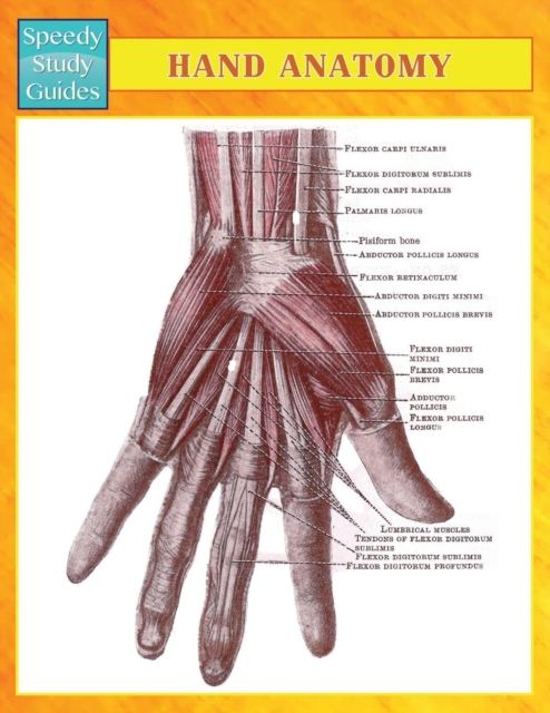 Hand Anatomy (Speedy Study Guides), Paperback / softback Book