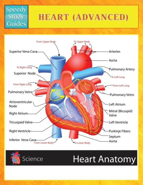 Heart (Advanced) (Speedy Study Guides), Paperback / softback Book