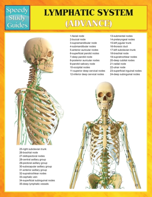 Lymphatic System (Advanced) (Speedy Study Guides), Paperback / softback Book