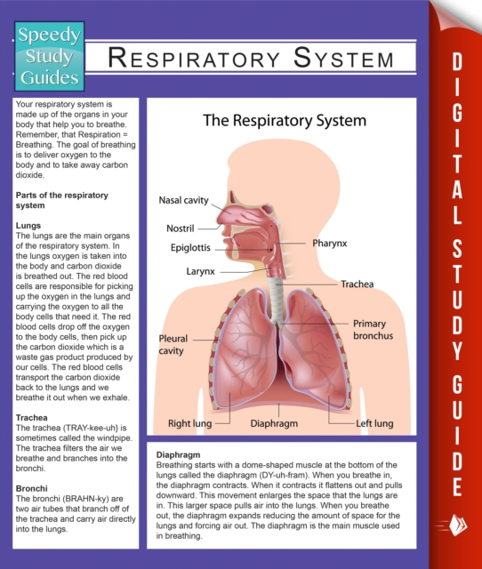 Respiratory System (Speedy Study Guides), PDF eBook