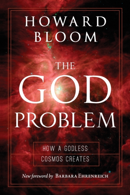 The God Problem : How a Godless Cosmos Creates, Paperback / softback Book