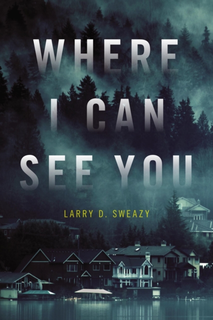 Where I Can See You, Paperback / softback Book