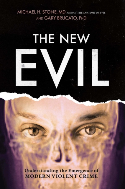 New Evil : Understanding the Emergence of Modern Violent Crime, EPUB eBook