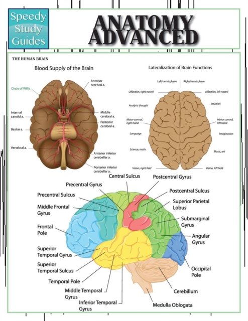Anatomy Advanced, Paperback / softback Book